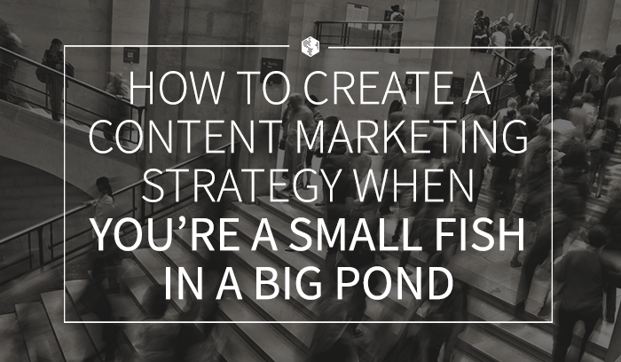 How to Create a Content Marketing Strategy When You're a Small Fish in a Big Pond (1).png